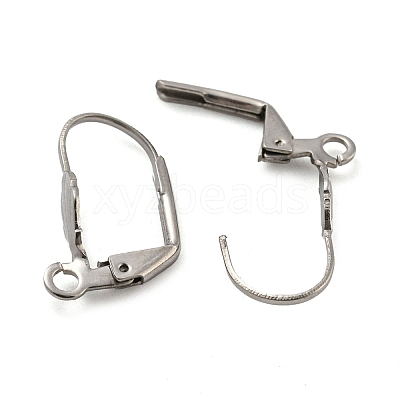 Non-Tarnish 304 Stainless Steel Leverback Earring Findings STAS-P360-02C-P-1