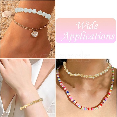 2 Strands 2 Colors Natural Shell Beads Strands SHEL-CJ0001-35-1
