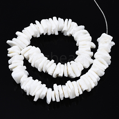 Natural White Shell Beads Strands X-SSHEL-S266-029-1