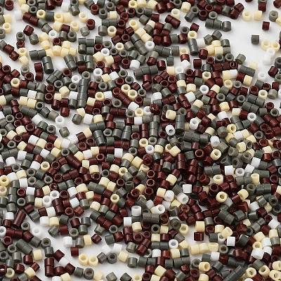 Baking Paint Glass Seed Beads SEED-S042-05B-55-1