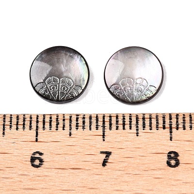 Natural Black Lip Shell Carved Cabochons SSHEL-T017-04D-1