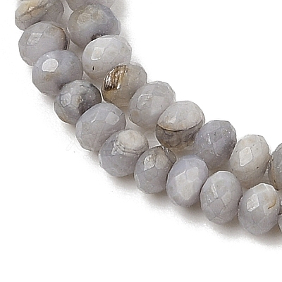 Natural Freshwater Shell Dyed Beads Strands SHEL-R100-13A-04-1