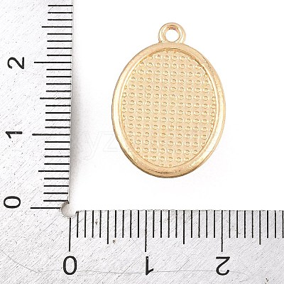 Alloy Enamel Pendants AL-CBAD5CF-02G-C-1
