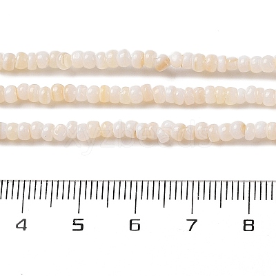 Natural Freshwater Shell Beads Strands X-SHEL-P017-01B-02-1