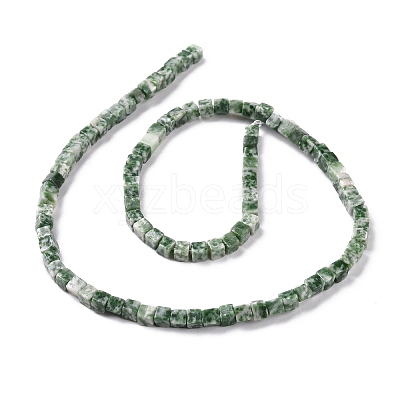Natural Green Spot Jasper Beads Strands G-F631-K18-1