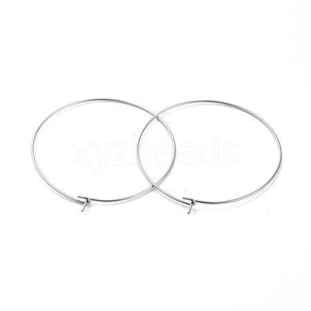 316 Surgical Stainless Steel Hoop Earring Findings X-STAS-J025-01F-P-1