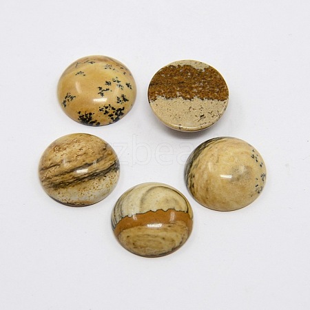 Natural Gemstone Cabochons G-H1596-FR-15mm-08-1