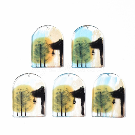 Transparent Printed Acrylic Pendants KY-S163-294-1