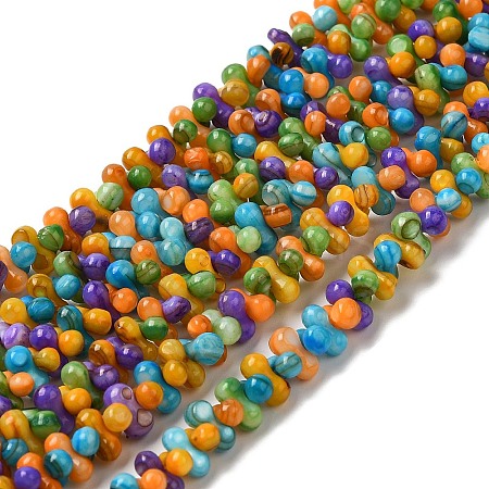 Natural Freshwater Shell Beads Strands SHEL-F007-03-1