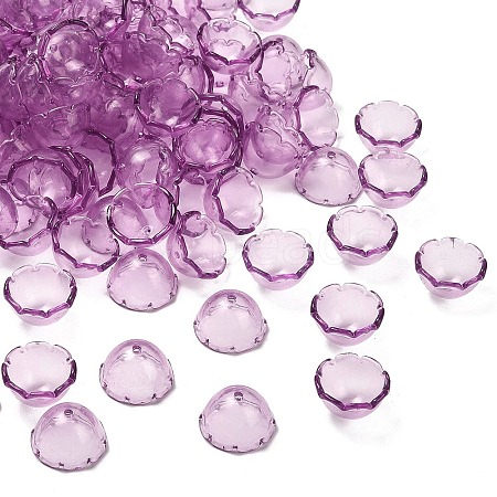 Transparent Acrylic Bead Caps OACR-Z030-03A-1