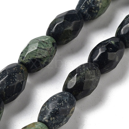 Natural Kambaba Jasper Beads Strands G-P520-C20-01-1