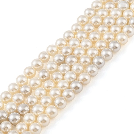 Electroplated Natural Freshwater Shell Beads Strands BSHE-G036-22-1