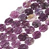 Natural Lepidolite Beads Strands G-L095-A01-01A-1