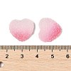 Imitation Candy Food Style Resin Cabochons RESI-R461-01N-4