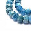 Natural Apatite Beads Strands G-I249-D22-3