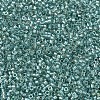 MIYUKI Delica Beads SEED-MY11-DB1767-3