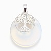 Opalite Pendants G-F573-C05-2