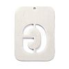 304 Stainless Steel Pendants STAS-K216-49G-P-3