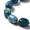 Natural Apatite Beads Strands G-B028-B09-4