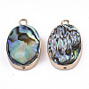 Natural Paua Shell Pendants SSHEL-R045-05-2