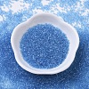 MIYUKI Delica Beads X-SEED-J020-DB0113-2
