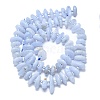 Natural Blue Lace Agate Beads Strands G-NH0016-J01-01-2