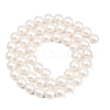 Frosted Glass Pearl Beads Strands GLAA-A044-08A-01-2