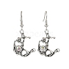 Alloy Resin Dangle Earrings EJEW-JE06370-02-2