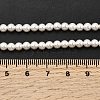 Electroplated Shell Pearl Beads Strands BSHE-K017-4mm-4