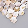 Natural Freshwater Shell Mosaic Tile Cabochons SHEL-Q029-04-2