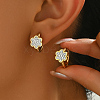 Stainless Steel Rhinestone Hoop Earrings DO2169-2-1