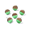 Transparent Resin & Walnut Wood Stud Earrings EJEW-N017-008-A02-1