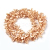 Freshwater Shell Beads Strands BSHE-O017-11-2