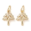 Rack Plating Brass Micro Pave Clear Cubic Zirconia Charms KK-D097-05G-1