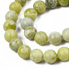 Natural Yellow Mustard Jasper Beads Strands G-Q462-10mm-39-3