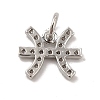 Brass Micro Pave Cubic Zirconia Charms KK-E077-02P-03-2