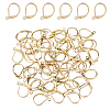 DICOSMETIC 60Pcs 304 Stainless Steel Leverback Earrings Findings STAS-DC0015-92-1