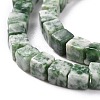 Natural Green Spot Jasper Beads Strands G-F631-K18-3
