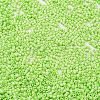 Baking Paint Glass Seed Beads X-SEED-S042-05B-65-3