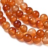 Round Natural Red Agate Bead Strands G-M257-8mm-26-5