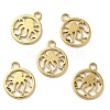 Ion Plating(IP) 304 Stainless Steel Charms STAS-L020-001G-3
