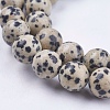 Natural Dalmatian Jasper Stone Bead Strands X-G-R193-14-10mm-3