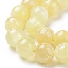 Electroplated Natural Yellow Selenite Beads Strands G-N328-025E-03-1-4