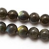 Natural Gemstone Labradorite Round Beads Strands G-E251-33-12mm-2