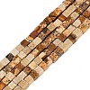 Natural Picture Jasper Beads Strands G-B129-A06-01-1