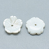 Freshwater Shell Beads SHEL-S275-009-2