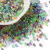 Baking Paint Glass Seed Beads SEED-S042-05A-11-1