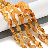 Natural Amber Beads Strands G-P497-01C-04-2