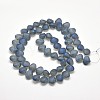 Frosted Electroplate Glass Shell Beads Strands EGLA-M002-B01-2