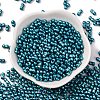 Baking Paint Glass Seed Beads SEED-L011-12A-08-2